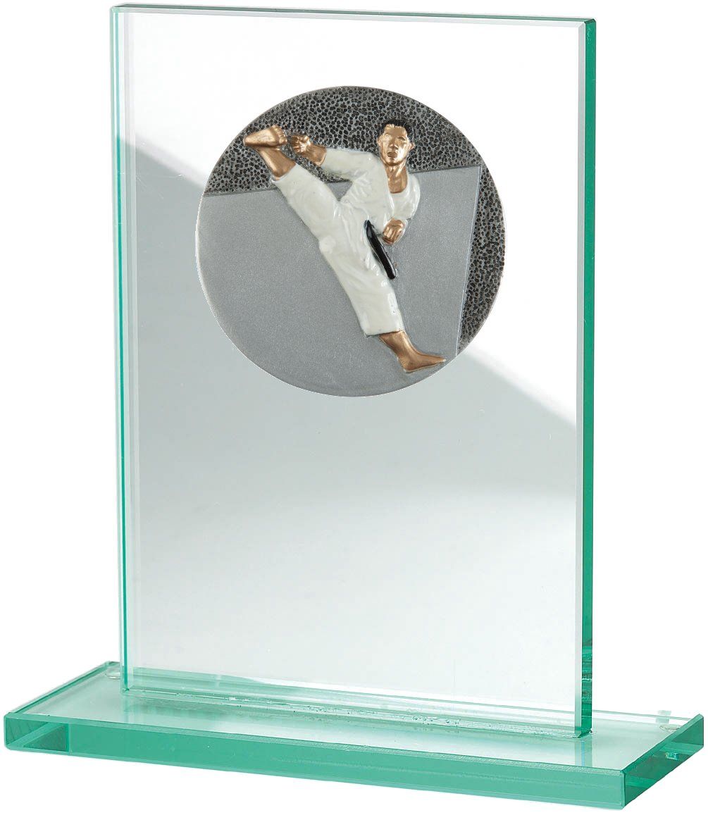 W511.005 Karate - Taekwondo Glastrophäe | 100x150 mm