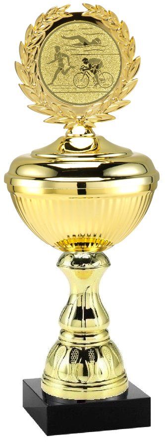 2026.248  Bestpreis-Pokal Triathlon | 24,0 cm