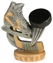 FX015 Eishockey