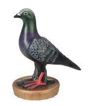 FX047 Taube