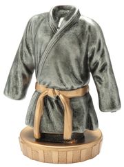 FX009 Judo