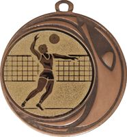 DI7006.238 Volleyball - Männer Medaille 70 mm Ø