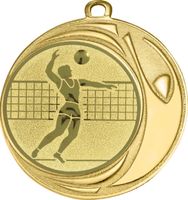 DI7006.238 Volleyball - Männer Medaille 70 mm Ø