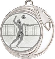 DI7006.238 Volleyball - Männer Medaille 70 mm Ø