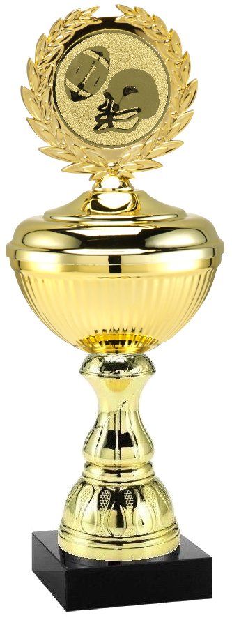 2026.338 Bestpreis-Pokal Football | 24,0 cm