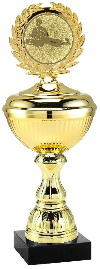 2026.371 Bestpreis-Pokal Taekwondo | 24,0 cm