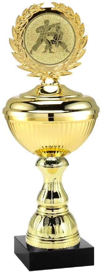 2026.558 Bestpreis-Pokal Karate | 24,0 cm