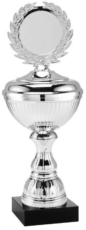 2027 Bestpreis - Pokal | 24,0 cm