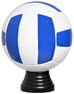 P506.M Volleyball