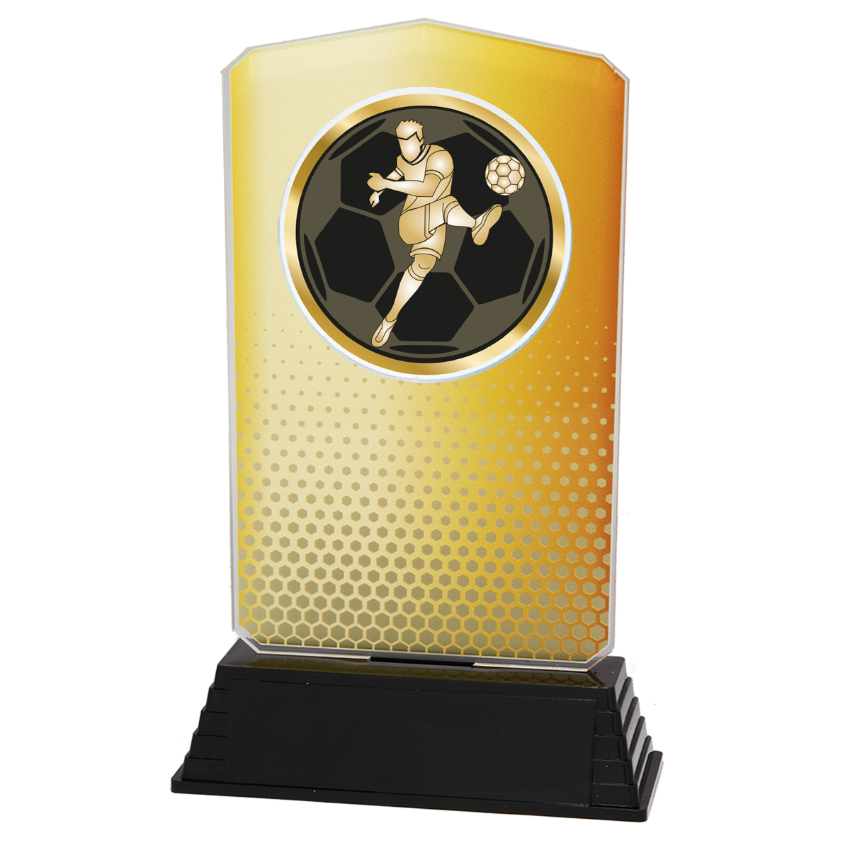 AC100.01.006 Fussball Acrylglas | 18,5 cm