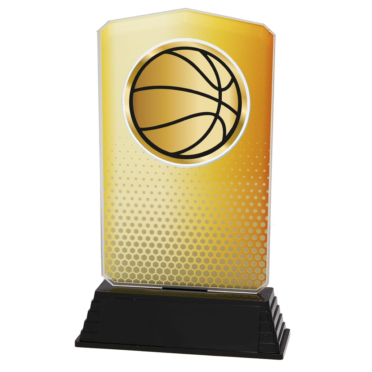 AC100.01.024 Basketball Acrylglas | 18,5 cm