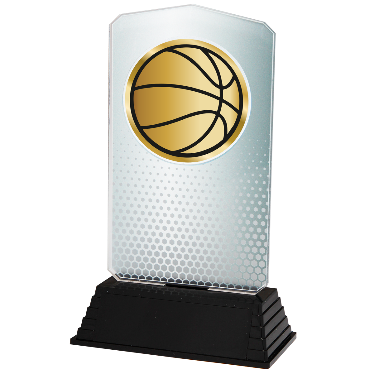 AC100.02.024 Basketball Acrylglas | 18,5 cm