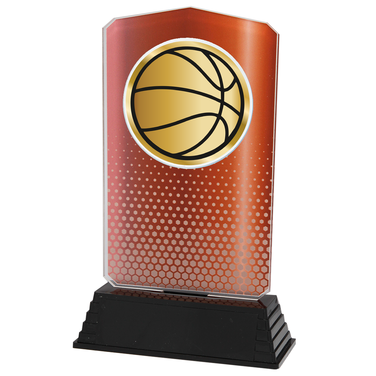 AC100.03.024 Basketball Acrylglas | 18,5 cm