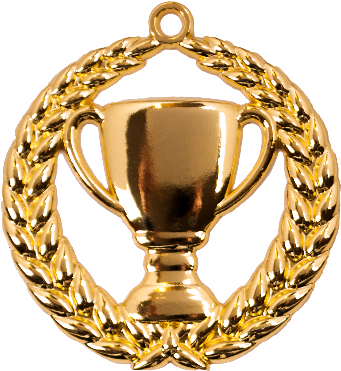 A9306.SM Pokal-Medaille Erlangen 70 mm Ø
