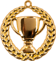 A9306.SM Pokal-Medaille Erlangen 70 mm Ø