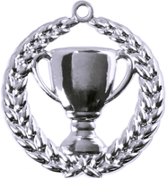 A9306.SM Pokal-Medaille Erlangen 70 mm Ø