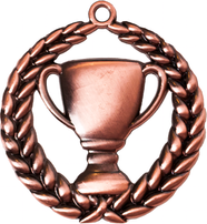 A9306.SM Pokal-Medaille Erlangen 70 mm Ø