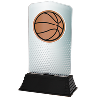 AC100.02.024 Basketball Acrylglas | 18,5 cm