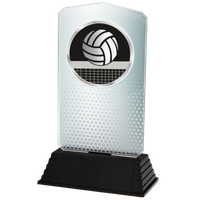 AC100.02.023 Volleyball Acrylglas | 18,5 cm