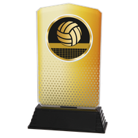 AC100.01.023 Volleyball Acrylglas | 18,5 cm