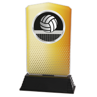 AC100.01.023 Volleyball Acrylglas | 18,5 cm