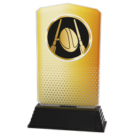 AC100.01.025 Rugby Acrylglas | 18,5 cm