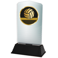 AC100.02.023 Volleyball Acrylglas | 18,5 cm