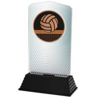 AC100.02.023 Volleyball Acrylglas | 18,5 cm
