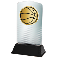 AC100.02.024 Basketball Acrylglas | 18,5 cm