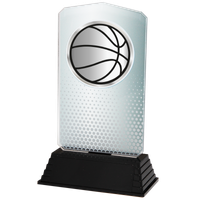 AC100.02.024 Basketball Acrylglas | 18,5 cm