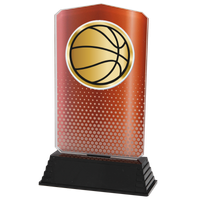AC100.03.024 Basketball Acrylglas | 18,5 cm