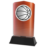 AC100.03.024 Basketball Acrylglas | 18,5 cm