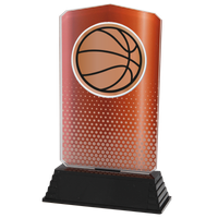 AC100.03.024 Basketball Acrylglas | 18,5 cm