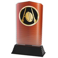 AC100.03.025 Rugby Acrylglas | 18,5 cm