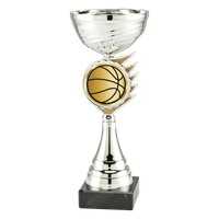 ET.408.AC024 Basketballpokal | Serie 5 Stck.