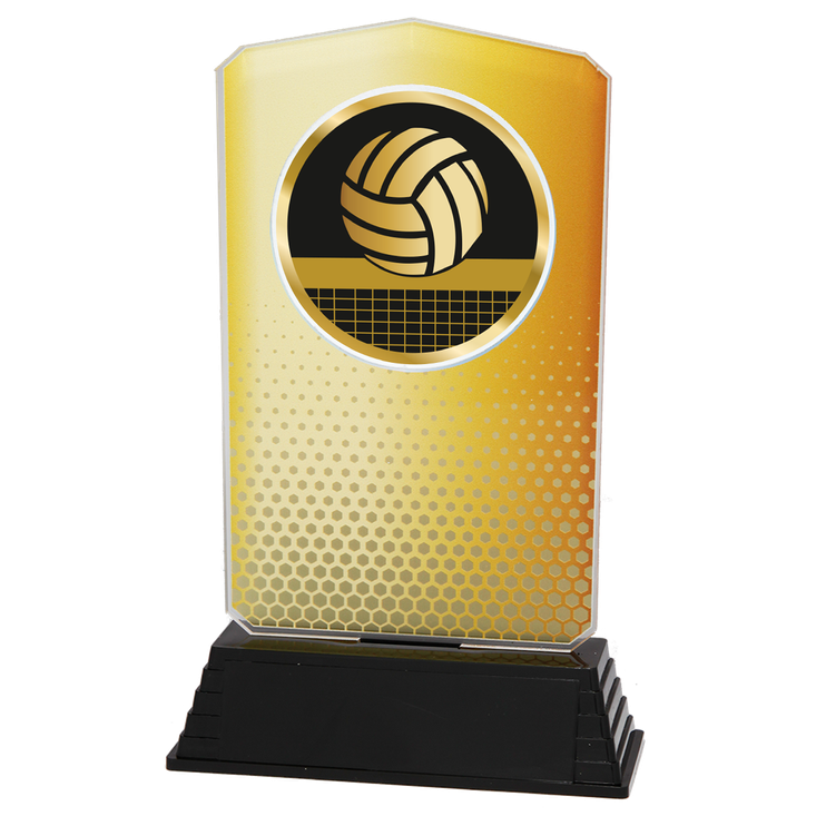 AC100.01.023 Volleyball Acrylglas | 18,5 cm