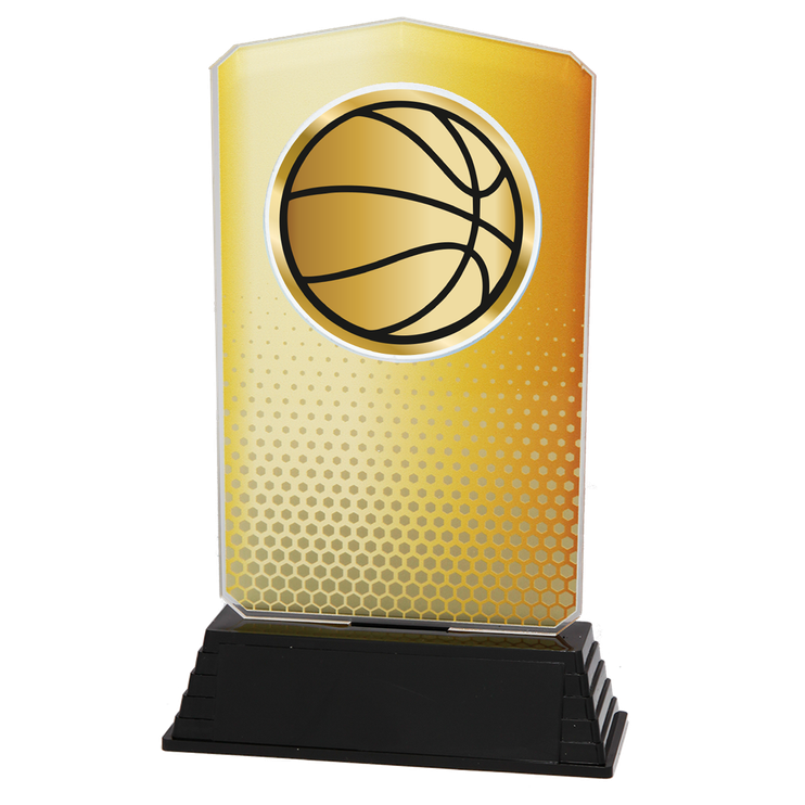AC100.01.024 Basketball Acrylglas | 18,5 cm