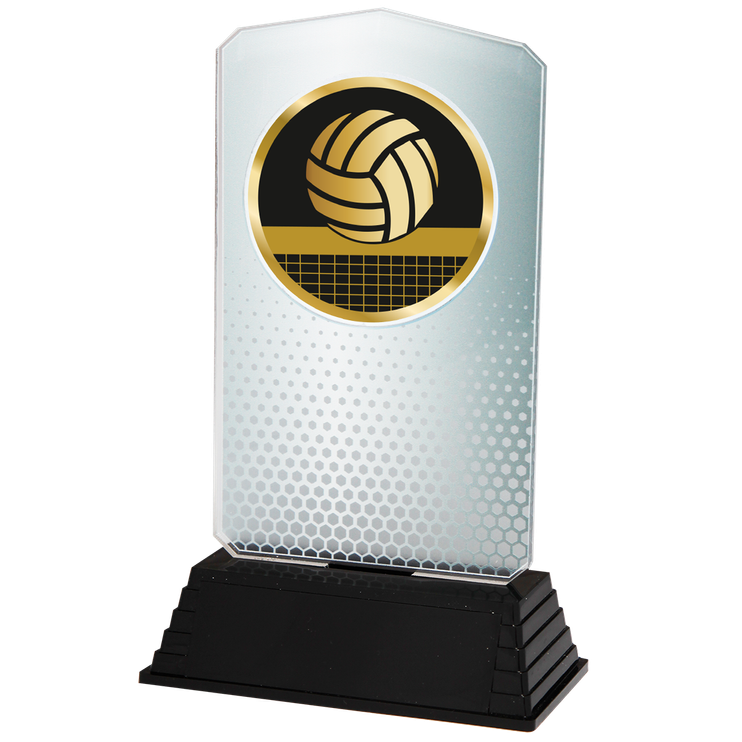 AC100.02.023 Volleyball Acrylglas | 18,5 cm