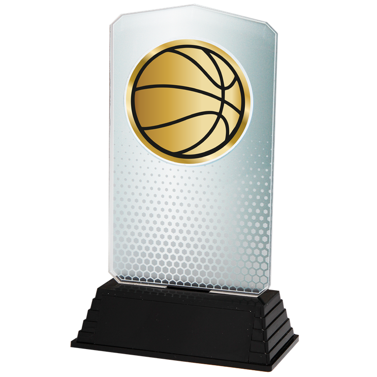 AC100.02.024 Basketball Acrylglas | 18,5 cm
