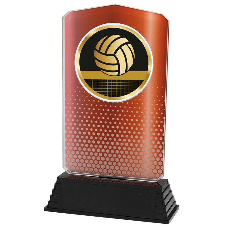 AC100.03.023 Volleyball Acrylglas | 18,5 cm