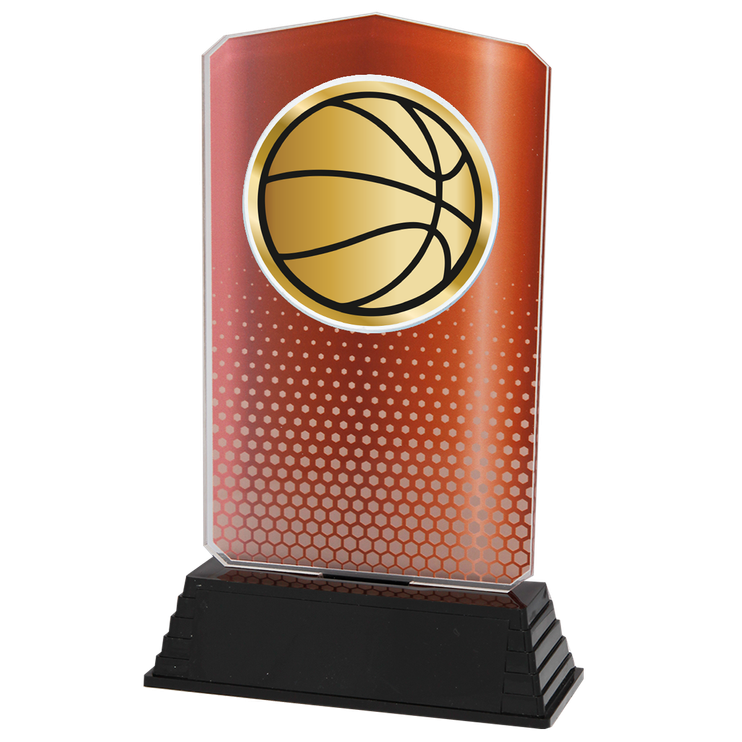 AC100.03.024 Basketball Acrylglas | 18,5 cm