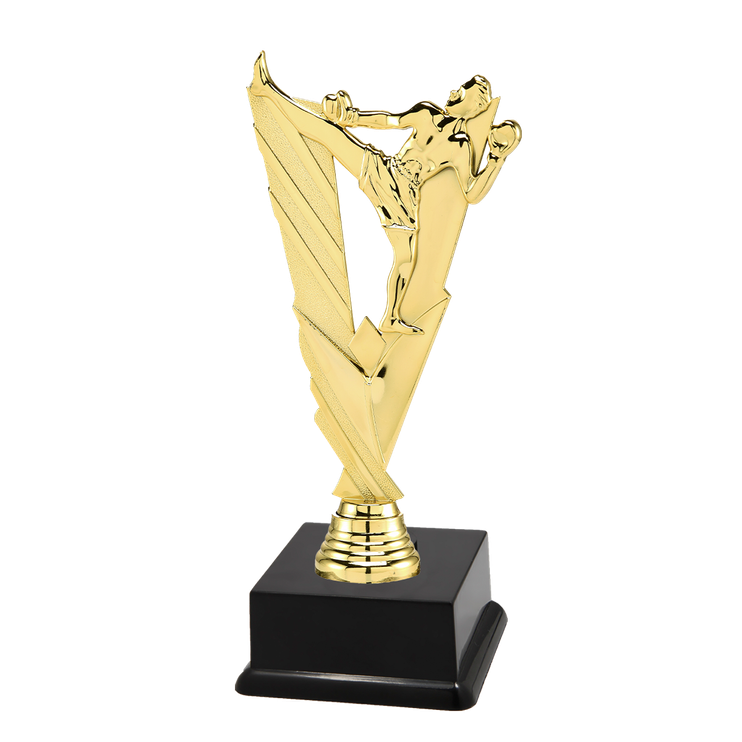 N10.374 Kickboxer Pokale | 3 Größen