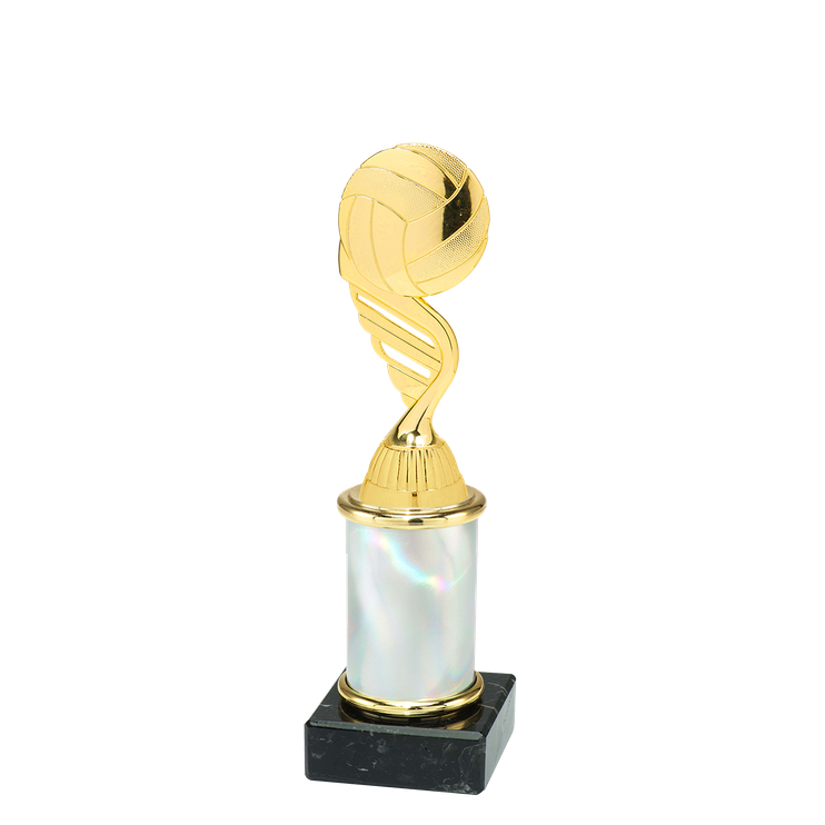 X900.02.431 Volleyball Pokal Waldkirch | Serie 3 Stck.