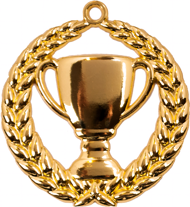 A9306.SM Pokal-Medaille Erlangen 70 mm Ø