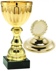 1067 Pokale mit Deckel inkl. Emblem u. Gravur | Serie 10 Stck.