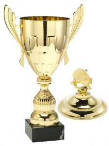 1083.019 Tischtennis Pokale mit Deckelfigur inkl. Beschriftung | Serie 10 Stck.