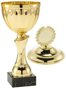 OUT1052.100 Pokale inkl. Emblem u. Beschriftung | 34,0 cm