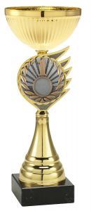 2000FG046 Sieger Pokal inkl. Emblem u. Beschriftung | Serie 5 Stck.