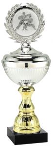 2025.558 Budgetpokal - Karate inkl. Beschriftung | 24,0 cm