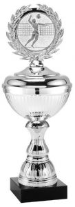 2027.238 Budgetpokal - Volleyball Herren inkl. Beschriftung | 24,0 cm
